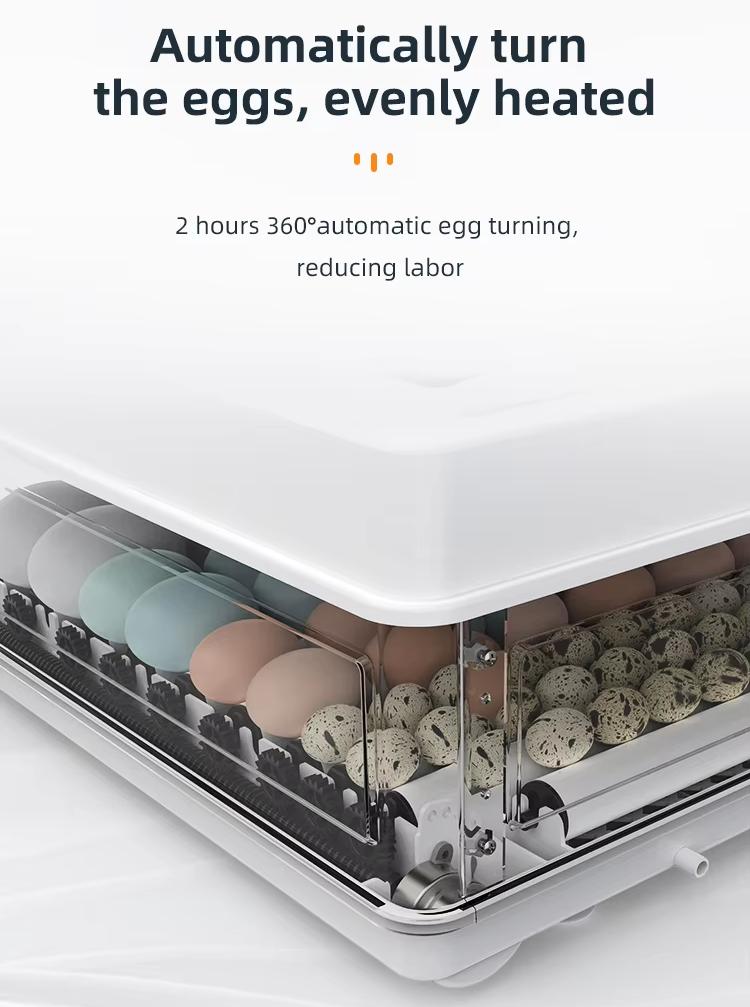 Volledig Automatische 130-Eier - Poultry Incubator recensie en prijs