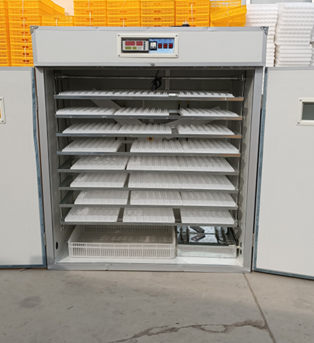 20/24/36/56/96/112 Eieren Kipp - Poultry Incubator recensie en prijs
